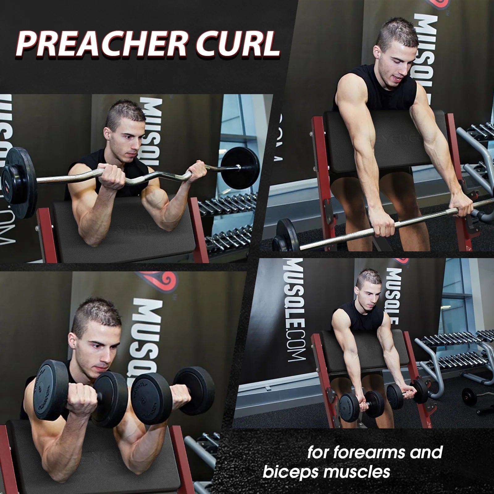 Preacher Curl Bench, Bicep Curl Machine, Adjustable Seated Arm Isolated Barbell Dumbbell Bicep Station, Preacher Curl Weight Station with 2 Bar Holders for Arm Curl Strength Training Home Gym